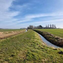 ....danach mal was anderes als übern Deich.