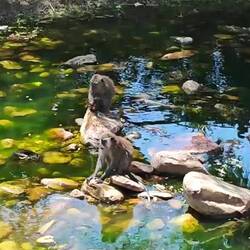 Heisser Tag heute, Wasserwaran inklusive