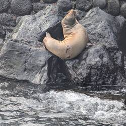 Good bye, Galapagos 😍