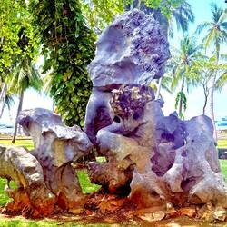 Interesting gnarly piece