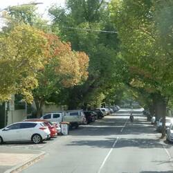 A Street