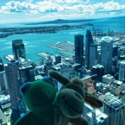 Falls ihr sie schon vermisst habt, sie sind natürlich dabei.