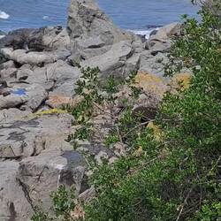 Here it is! It seems difficult to navigate when you're working w/ 3pts of contact.