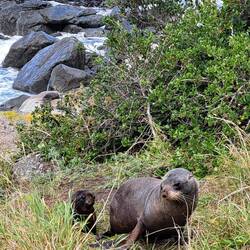 Be ready for a serious 'awww' moment....