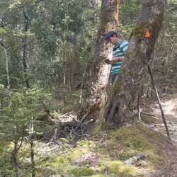 Rob the Birdwhisperer