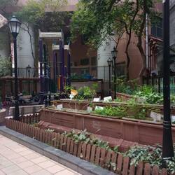 One of the little pockets gardens HK does so well