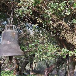 Glocke beim Rebstock