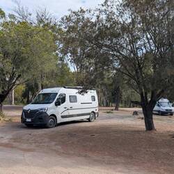 Bruno, der Schöne. 😊