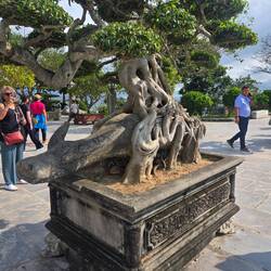 Notice the bull caught in the bonsai tree.