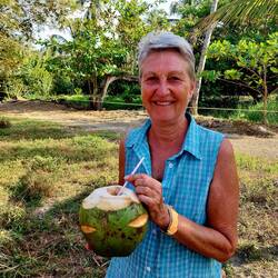 Leckeres Kokoswasser