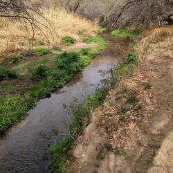 Santa Cruz River. Nice and clear.