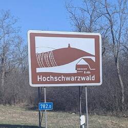 Frühling im Schwarzwald