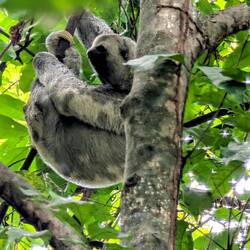 Unser Highlight für heute