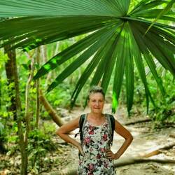 Nationalpark Tayrona. Eine tolle Natur