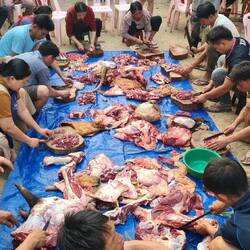 Hochzeitsgesellschaft