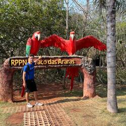 Heute schauen wir uns Papageien in ihrem Wohnzimmer an