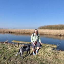 ...in die Landschaft....