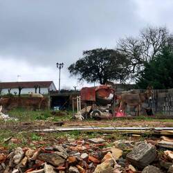 Wie viele Tiere findest du?