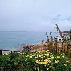 ....jeden Strahl nutzen 🚶‍♀️🚶‍♂️