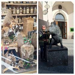 Wolpertinger und Wildschwein