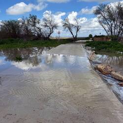 Flooding in pastures