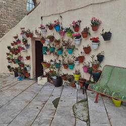 🙋‍♂️🙋‍♀️