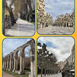 Wunderschöne Allee mit Platanen und geschnittenen Koniferen.