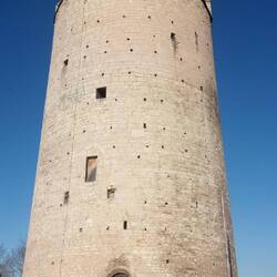 Dicker Wilhelm am Schloss Neuenburg