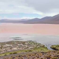 Laguna Colorada