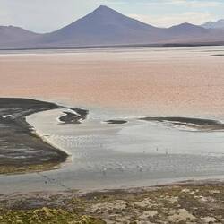 Laguna Colorada