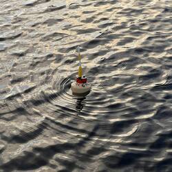 Manatee tracker antenna.