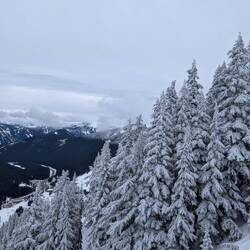 Stevens Pass