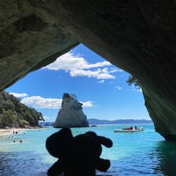 Mini und Max sind auch dabei. Leider Gegenlicht.