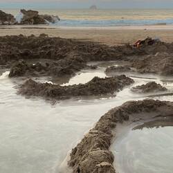 Da werden sie gebuddelt. Erwachsene sind vorne mit dabei!