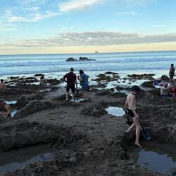 We were thankful for all of these kids digging for us!