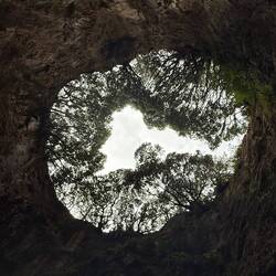 View up from inside one of the caves