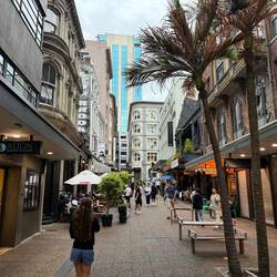 Views of Auckland city life