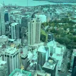 Views from the sky tower