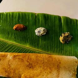 first Masala Dosa 🤤🤤