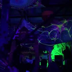 Forestdelic Gathering @ ShivaValley // Kala 🤩