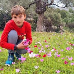 Robin dans son champs de Fleurs sur l'île de Rhodes.