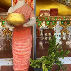 Petras Lieblingsbuddha ...