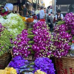 Was passiert nur mit all den Blumen?