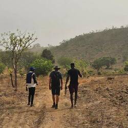 Zum Ende der Trockenzeit ist alles sehr karg. Und die Luft trüb vom Saharasand, dem Harmattan