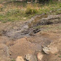 Und plötzlich ist da ein kleiner Bach. 20 m links und rechts davon wird sogar Reis angebaut.