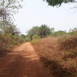 Zurück über die selbe Piste von gestern nach Potoru
