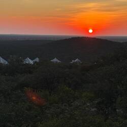 Guten Morgen Etosha