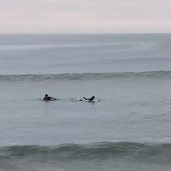 Le plus petit surfer du monde 🏄🏾