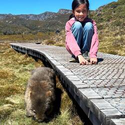 We're pretty sure this wombat lives under the walkway!