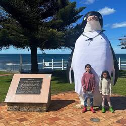 Just down the road is the town of Penguin. Known for penguins and friendly locals